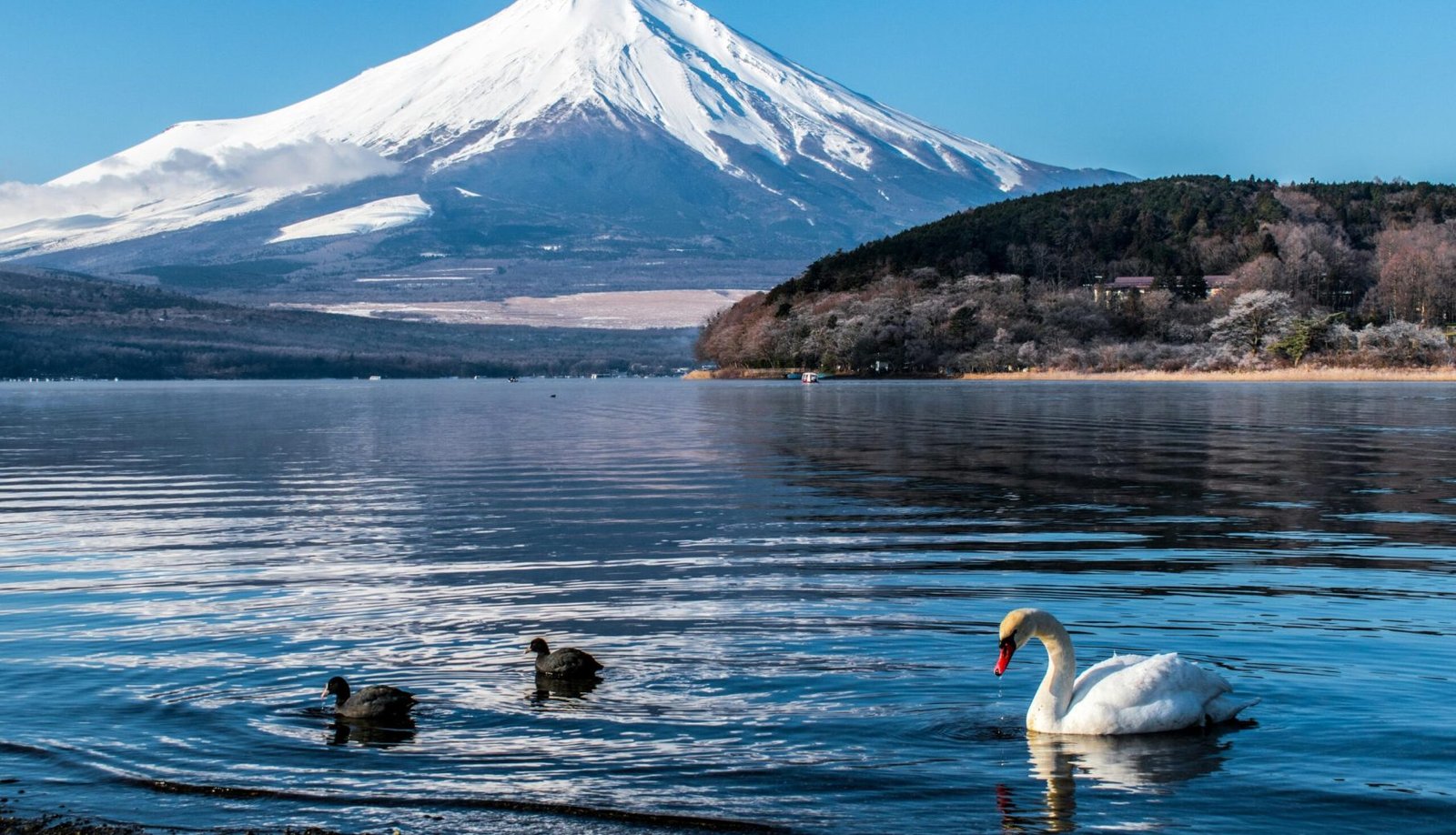 mount fuji